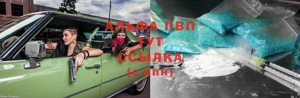 гашик Арсеньев
