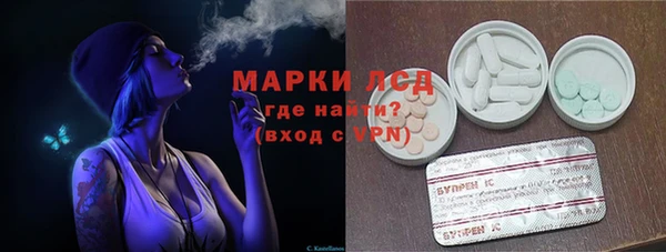 гашик Арсеньев