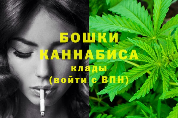 винт Аркадак