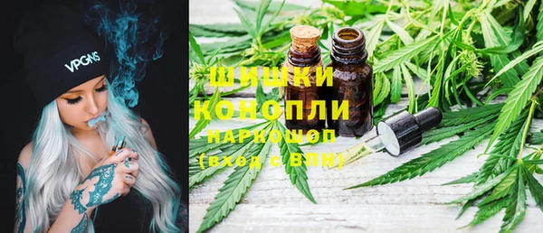 гашик Арсеньев