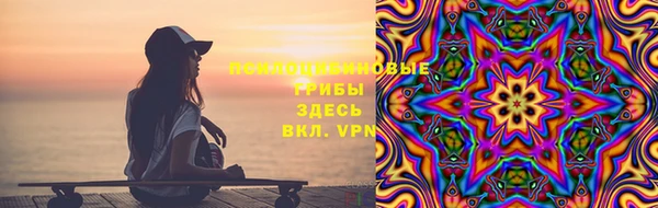 винт Аркадак