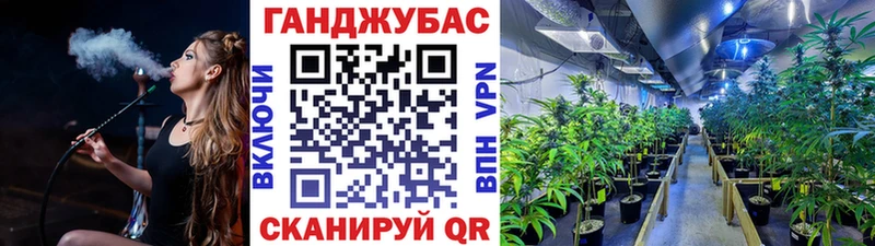 Бошки Шишки Amnesia  Струнино 